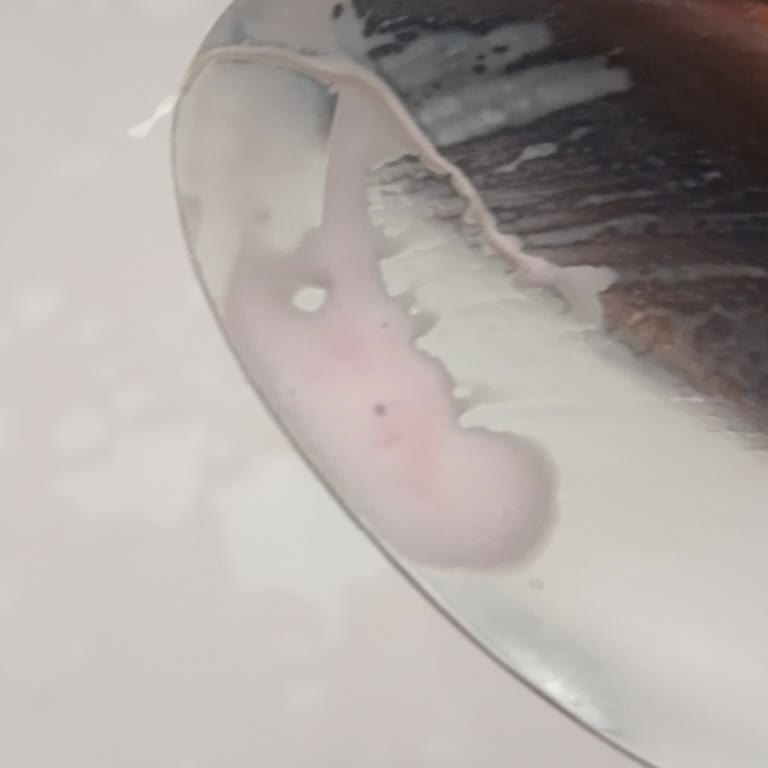 Fair Dondurma Dondurmam Da İp Çıktı