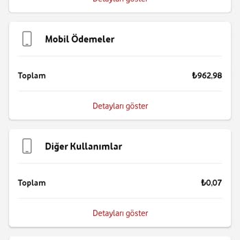 Beklenmedik Yüksek Fatura ve Yetkisiz İşlemler