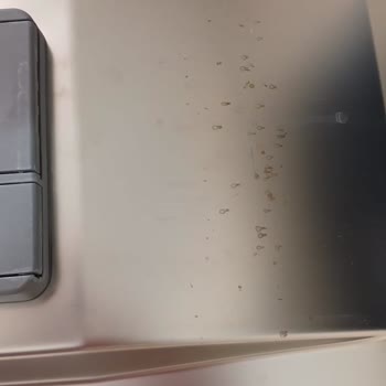 Vestel Pişmanlıktır. Bulaşık Makinesi İçi Paslandı.