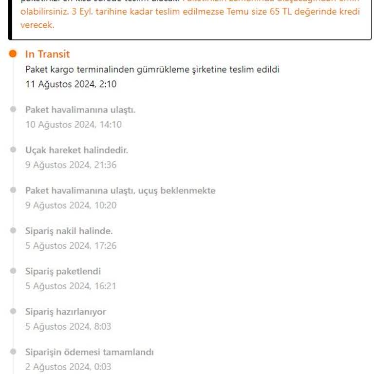 MNG Kargo Temu Sipariş Gümrük Süreci İlgisizliği