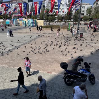 İBB - İstanbul Büyükşehir Belediyesi Bağcılar Meydan'daki Güvercin Sorunu İçin Acil Çözüm Talebi