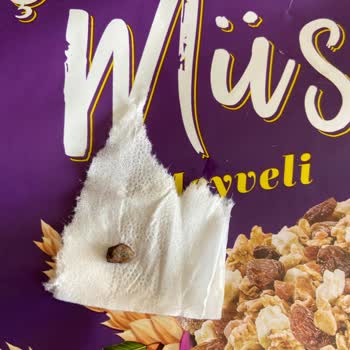 Funny Gıda Taşlı Kelly's Fitness Müsli