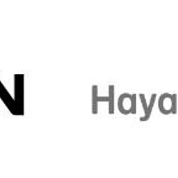 NN Hayat ve Emeklilik Sistem Hatasından 50.000 (elli Bin) Tl Den Fazla Kaybım Olmuş?