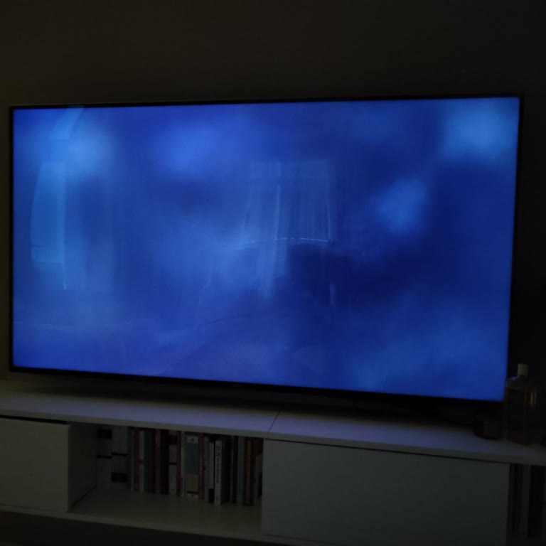 Vestel Televizyon Renk Sorunu