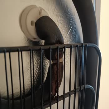 Beko Derin Dondurucu Soğutmuyor Arızası