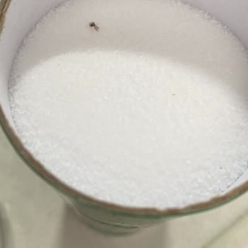 Billur Tuz İçinden Sinek Çıktı.