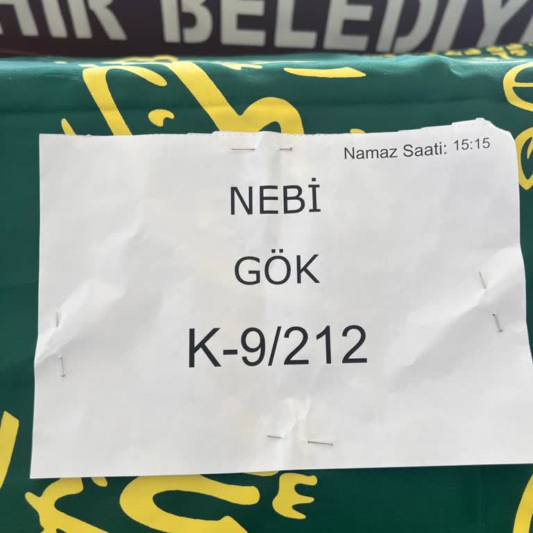 Anadolu Hayat Emeklilik 8 Ay Önce Vefat Eden Babamın Vefat Evraklarını İnceleyen Anadolu Hyt