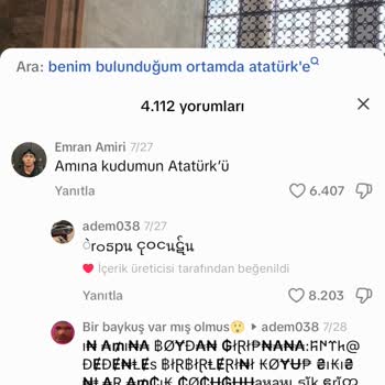 TikTok A****** Aleyhine Saygısızlık