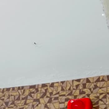 Royal Beach Club Hotel Memnuniyetsizliği!