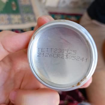Lipton İce Tea 'nin İçinde Değişik Cisimler