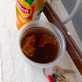 Lipton İce Tea 'nin İçinde Değişik Cisimler