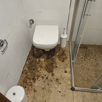 Assos Eden Beach Hotel Patlayan Foseptik Ve Örümcekli Otel