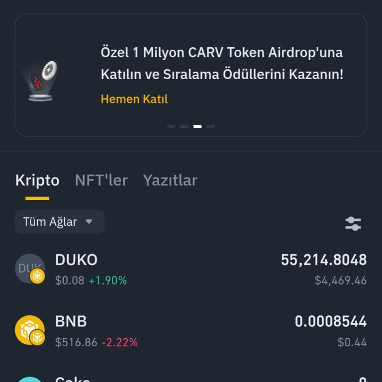 Binance Pancake Üzerinden Aldığım Coini Satamıyorum