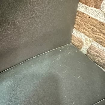 Domino's Küçükçekmece Tepeüstü İşletme Hijyen Memnuniyet Sıfır Yazık