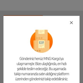 Temu Kargosu Gümrük Sorunu