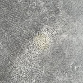 Yünser Halı Leke Problemi