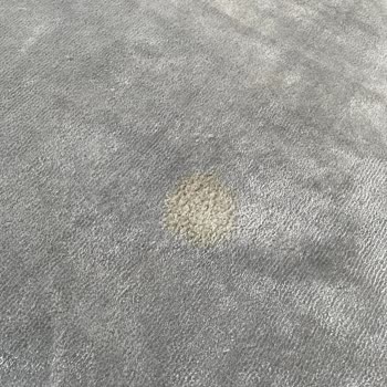 Yünser Halı Leke Problemi