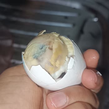 Getir Bozuk Tarihi Geçmiş Ürün
