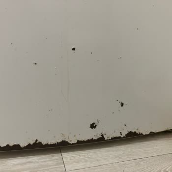 Bosch Buzdolabı - Yoğun Paslanma Şikayeti