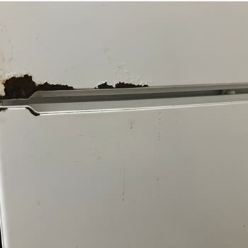 Bosch Buzdolabı - Yoğun Paslanma Şikayeti