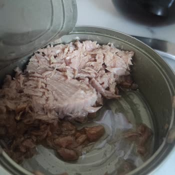 BİM Derya Ton Balığı Sağlıksız Hijyenik Değil.