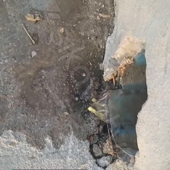 Çeşme Belediyesi Acil Destek Yardımı Lütfen!