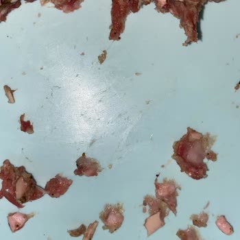 Getir Yemek'ten Gelen Köfteci Yusuf Kıyma Siparişi Sorunu!