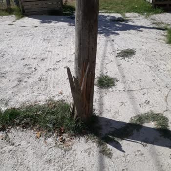 Türk Telekom Altyapı Direği Düşme Tehlikesi