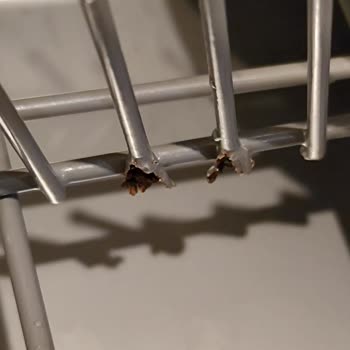 Franke Bulaşık Makinesinin Sepeti Paslandı