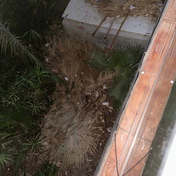 Jura Hotels Bodrum Resort Felaket Hijyen Koşulları İnsan Sağlığını Tehdit Ediyor