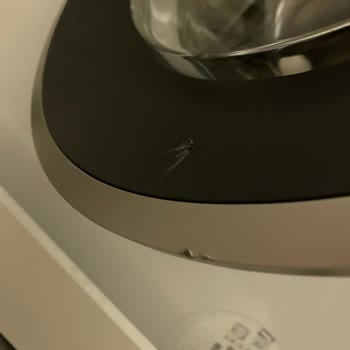 Bosch Sıfır Aldığım Çamaşır Makinemin Kapağı 5 Yerinden Çizik Teslim Edildi.