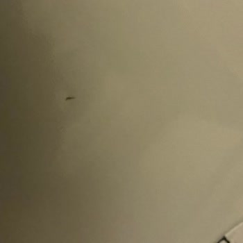 Bosch Sıfır Aldığım Çamaşır Makinemin Kapağı 5 Yerinden Çizik Teslim Edildi.