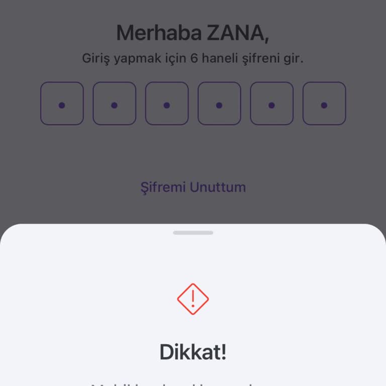 Tom Bank Güvenlik Zaafiyeti Ve Sorumsuzluğu