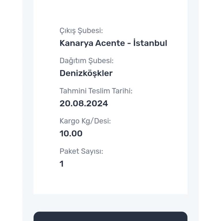 Sürat Kargo Teslimat Sürecinde Yaşanan Sorunlar