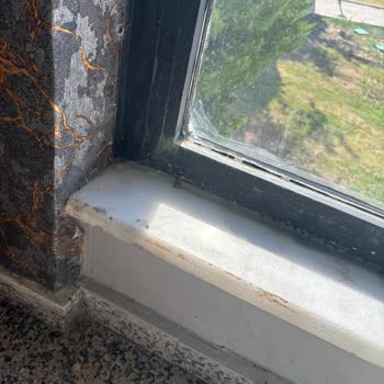 Royal Beach Club Hotel Otel Hizmetleri Ve Temizlik Konusunda Büyük Hayal Kırıklığı