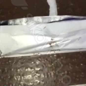 Migros'tan Aldığım Çikolata Kurtçuk Dolu!