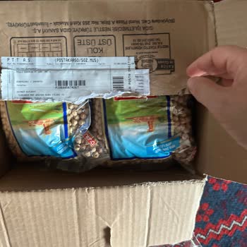 Pazarama, Geltat Süpermarket Ve Böcekleri