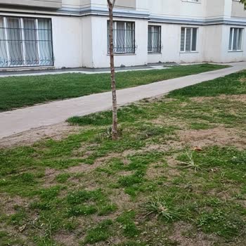 Aksigorta Zararı Mı Karşılamıyor