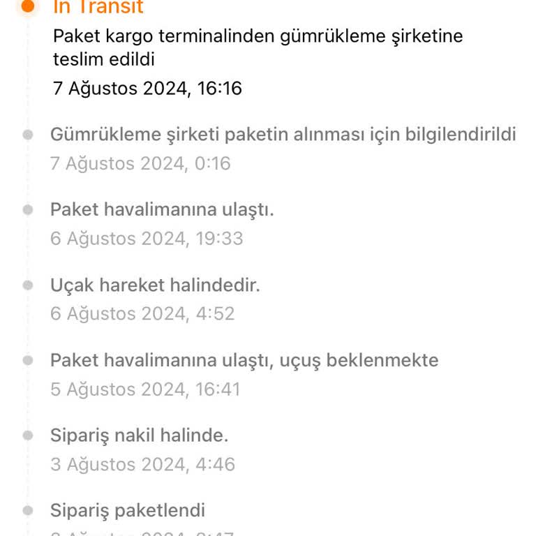 Temu Alışveriş Ve Gümrük İşlemlerinin Yavaş Yürümesi