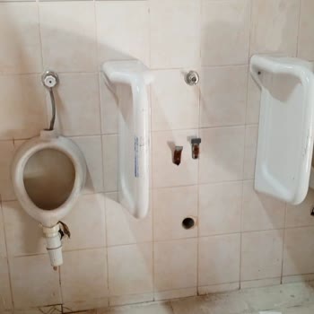 Tarım Ve Orman Bakanlığı Çamkoru Kamp Alanı Bakımsızlığı!