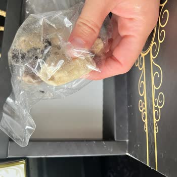 Asla Bir Daha Çitlekçi!