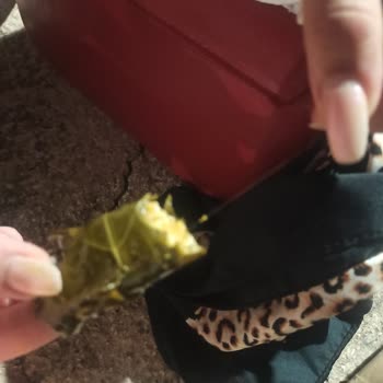 Burcu Gıda Sarmanın İçinden Saç Çıktı!