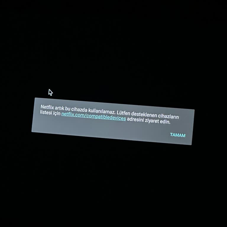 Onvo TV'de Netflix Kullanım Sorunu