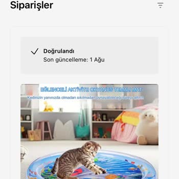 Herapet Su Yatağı Asla Gelmiyor Cevap Vermiyorlar