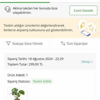 Çiçek Sepeti Hediyem Kayboldu. Teslim Edildi Diyor.