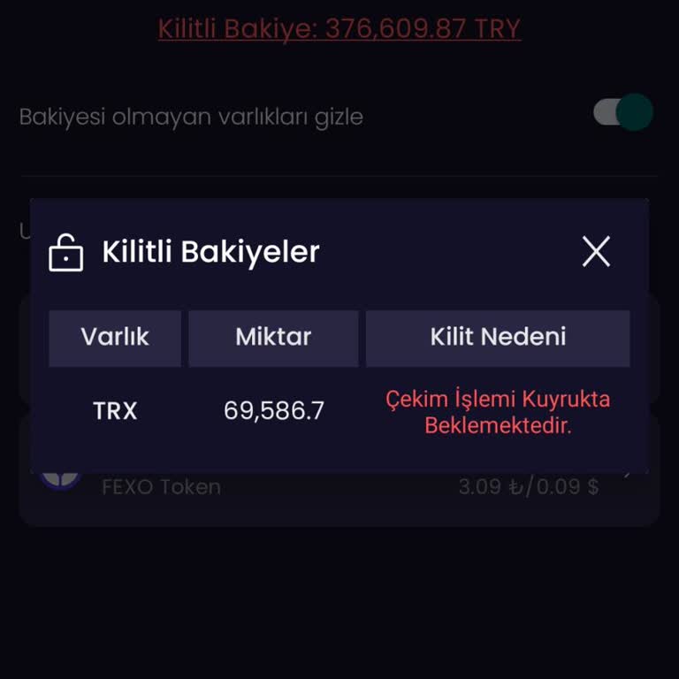 Fexobit Kripto Varlık Platformu Fexobit İnceleme Kaldırma