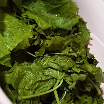 Seboştan Kalitesiz Salamura Yaprak Deneyimi