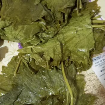 Seboştan Kalitesiz Salamura Yaprak Deneyimi