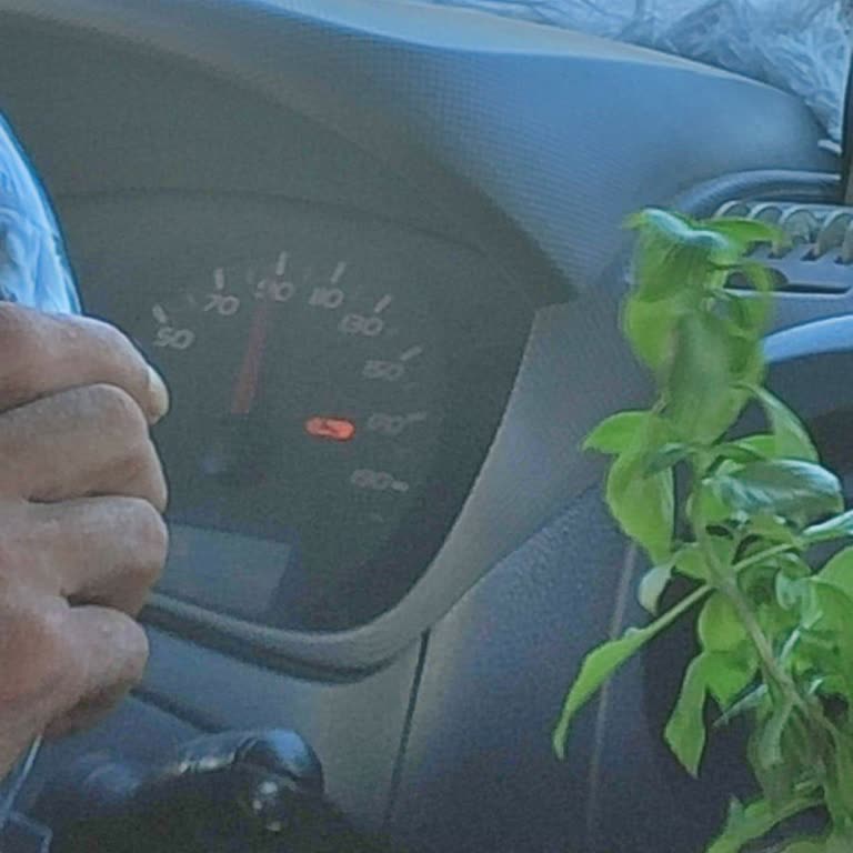 Gazipaşa Belediyesi Gazipaşa Minibüs Sürücüsünün Hatası