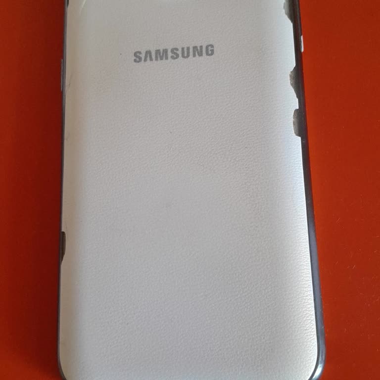 Samsung "Başarı" Yetkili Servis 'dekilerin Terbiyesizliği!.